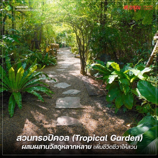 ไอเดียจัดสวนทรอปิคอลในบ้านง่ายๆแบบไม่ต้องง้อช่าง